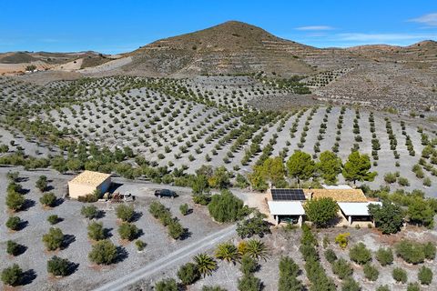 Landejendom i Puerto Lumbreras, Murcia - foto 1
